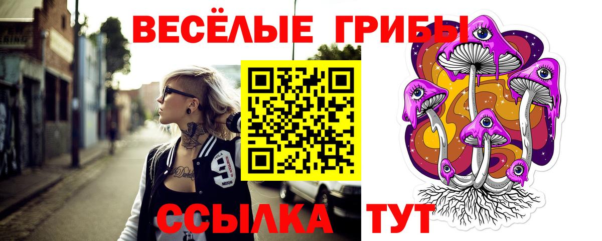 купить закладку  Вход с VPN  Хасавюрт  Псилоцибиновые грибы мухоморы 