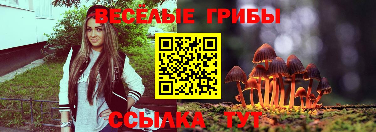 Псилоцибиновые грибы прущие грибы Хасавюрт
