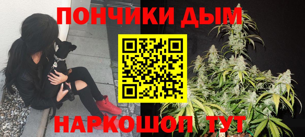 Каннабис Bruce Banner  Вход с VPN  МАРИХУАНА семена  Шишки марихуана Bruce Banner  Хасавюрт  Каннабис OG Kush 